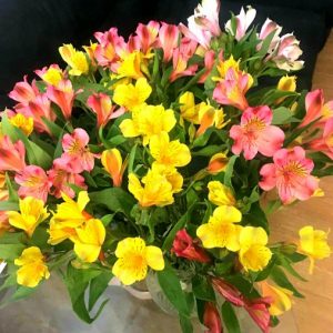 Flowers - By Tati  03 Bouquet - Regular Price Drop Flowers Regular